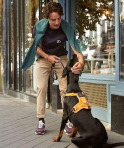 Lisastewart.shop6af32afab4 1